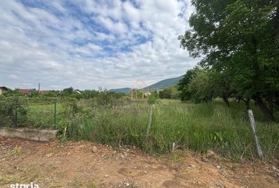 Teren de 3700 mp, în Valea Borcutului - 2