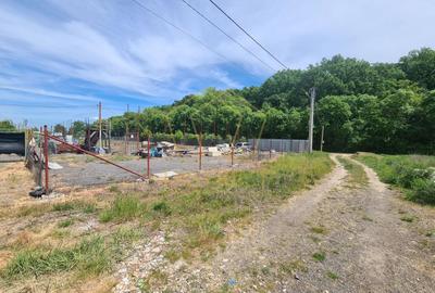 Teren Construcții intravilan de 2791 mp, în Dumbrăvița - 3