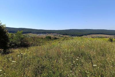 Spațiu comercial, în Corunca - 11