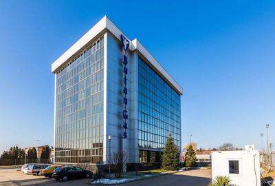 Spațiu comercial, de 2,207 mp, în Lugoj - 13