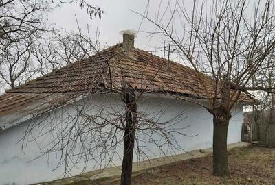 Casă cu 2 camere în Arsura - 4