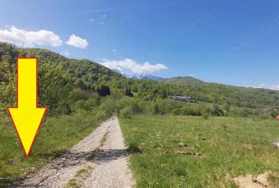 Teren de 1266 mp, în Cheile Râșnoavei - 4