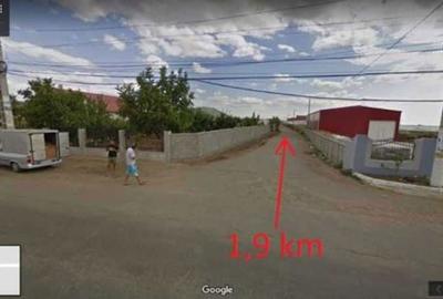 Teren de 10000 mp, în Matca - 1