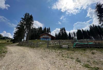 Casa de vacanta situata in Marisel! - 12
