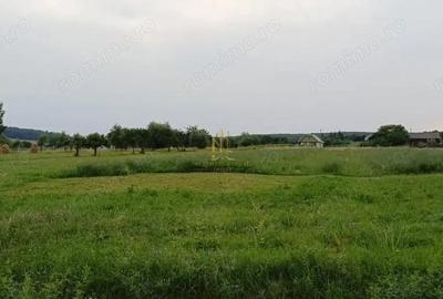 Teren de 2900 mp, în Ilișești - 1