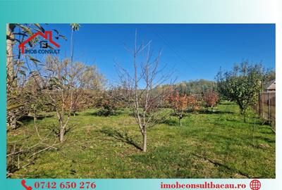 Casa parinteasca se vinde! CE1353 - 5