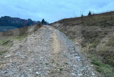 Teren de 2500 mp, în Colibița - 1