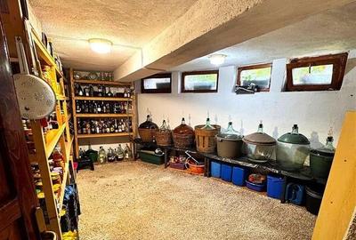 Casa in apreciabil potential,cu terase, curte,gradina echipata,2 pivnite,Str. Ro - 21