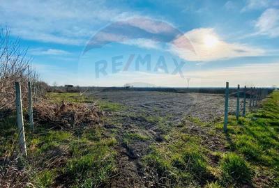 Teren de 2222 mp, în Urechești - 6