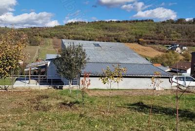 Casă cu 3 camere în Budiu Mic - 1