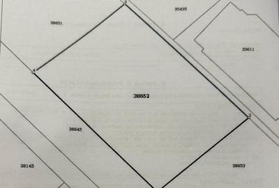 Teren intravilan, 500 MP, comuna Malu Mare - 1