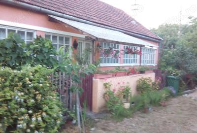 Casă cu 3 camere în Chegea - 3