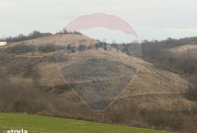 Teren de 18800 mp, în Vințu de Jos - 2