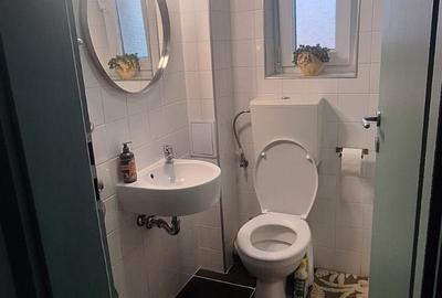 Apartament cu 2 camere decomandat în Turnișor - 6