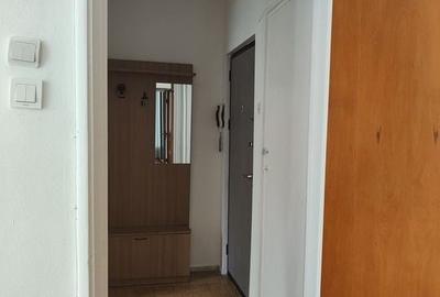 Vanzare apartament luminos de 2 camere in Titan-Lotru, pret negociabil - 8