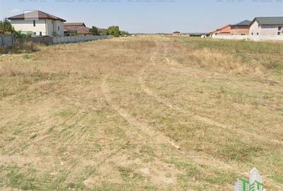 Teren intravilan 1.7 ha Dragomiresti Vale-Zurbaua, deschidere 34m la strada asfa - 13