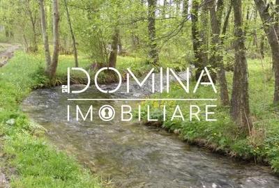 Spațiu comercial, în Runcu - 9