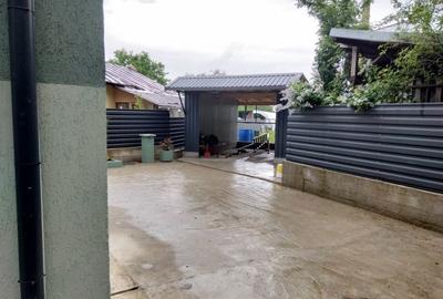Casă cu 4 camere în Păulești
