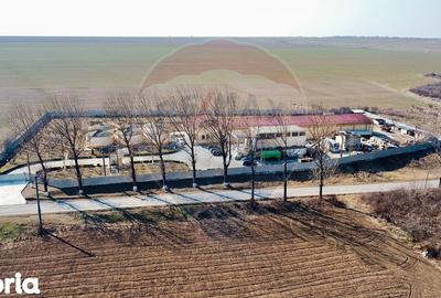 Spațiu comercial, de 2,800 mp, în Buciumeni - 4
