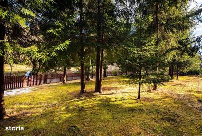 Spațiu comercial, de 300 mp, în Arieșeni - 4