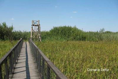 Vand loturi de 527 si 635 mp langa Delta Neajlovului la cel mai bun pret - 7