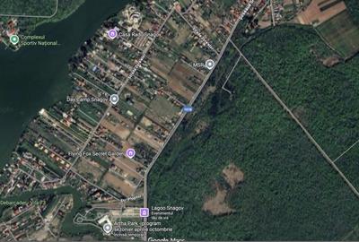 Teren Construcții intravilan de 9000 mp, în Snagov - 3