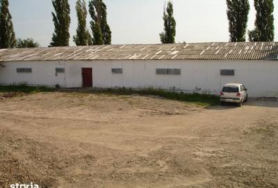 Teren de 180000 mp, în Gai - 4
