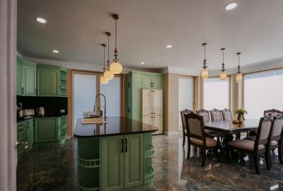 Casa exclusivista cu arhitectura unica, 320mp utili, Horod - 9