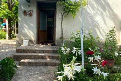 Casa traditionala de vanzare - ideala pentru familie mica sau retragerea la tara Casa traditionala de vanzare - ideala pentru familie mica sau retragerea la tara - 3