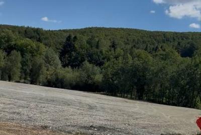 Spațiu comercial, în Sucevița - 7