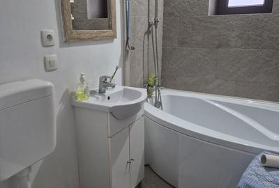 Casă cu 3 camere cu Teren 2800 Mp în Sânmihaiu Almașului - 19