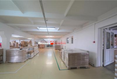 Oportunitate de investitie | Hala Parc Industrial 1 - 4