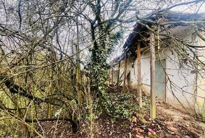 Casă cu teren de 1.463 mp în Ghizela, Timiș – Comision 0% - 3