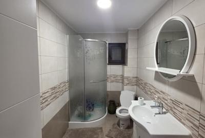 Casa  moderna mobilata cu beci 165mp +3000mp teren Cotnari - 13