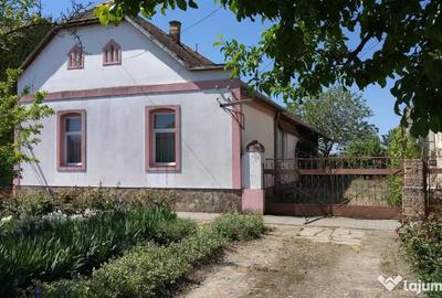 Casă cu 3 camere în Comloșu Mic - 12