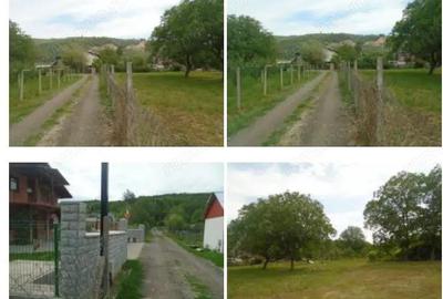 Teren intravilan loc. Brosteni, judetul Vrancea - 3