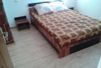 Casă cu 5 camere cu Teren 2000 Mp în Dobroteasa - 1