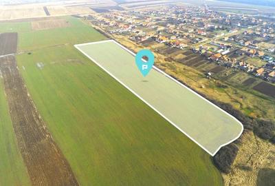 Teren agricol extravilan de 30500 mp, în Pișchia
