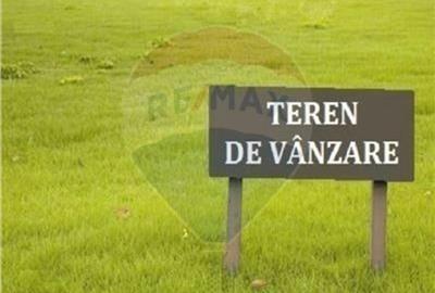 Teren Construcții intravilan de 10000 mp, în Sud - 8