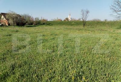 Casă cu 3 camere cu Teren 2050 Mp în Central - 12