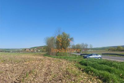 TEREN INTRAVILAN | 4300 MP | HIDISELUL DE SUS | BIHOR - 2