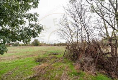 Casa traditionala la tara in Gliganu de Jos Com. Rociu-Arges la 30 km de Pitesti - 15