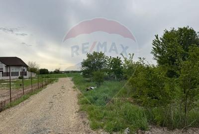 Teren Construcții intravilan de 960 mp, în Ciolpani - 1