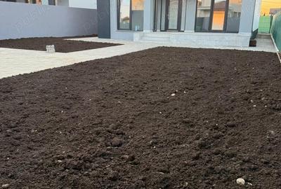 Casă cu 4 camere cu Teren 450 Mp în Strejnicu - 8