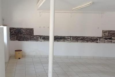 Spatiu comercial zona Piata Mare - 2