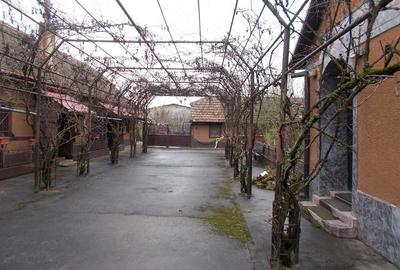 Casă cu 3 camere cu Teren 1689 Mp în Pădureni