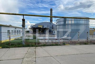 Hala+birouri, 15533mp utili, teren 21323mp, Freidorf - 1