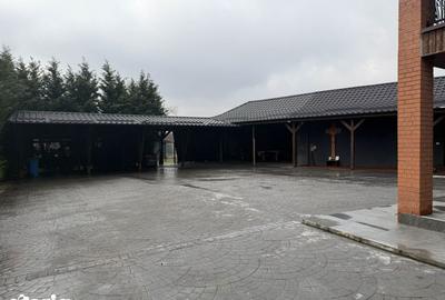 Casă cu 8 camere cu Teren 500 Mp în Celaru - 8