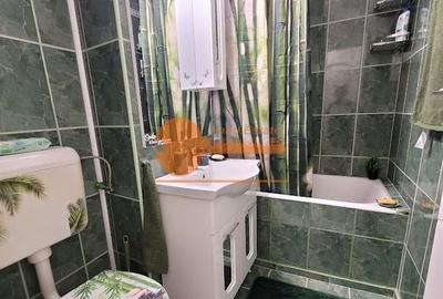 Garsoniera in zona Tineretului-Parcul Tineretului - 9