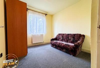 Camin primitor si luminos, 2 camere, terasa, facilitati, Simeria, Sfantu Gheorgh - 13